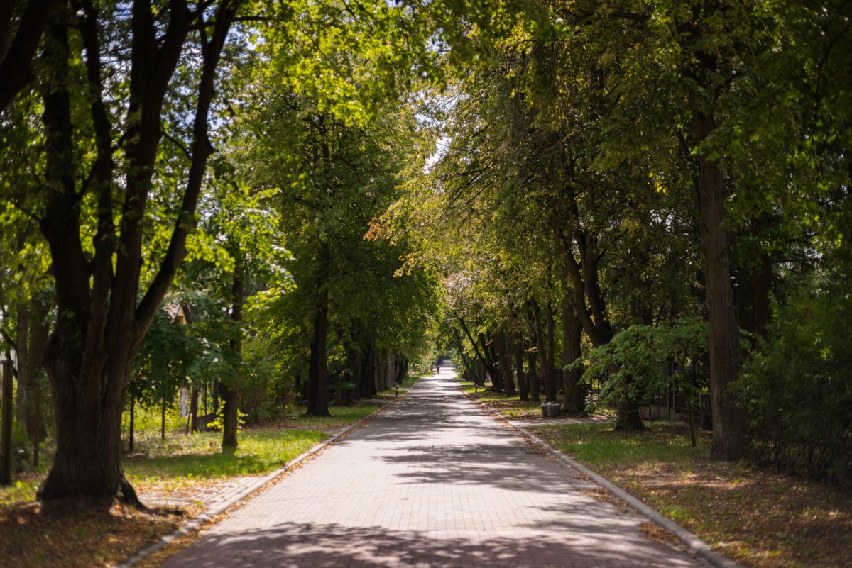 Plot for sale, 1286 m² — Okrężna, Magdalenka